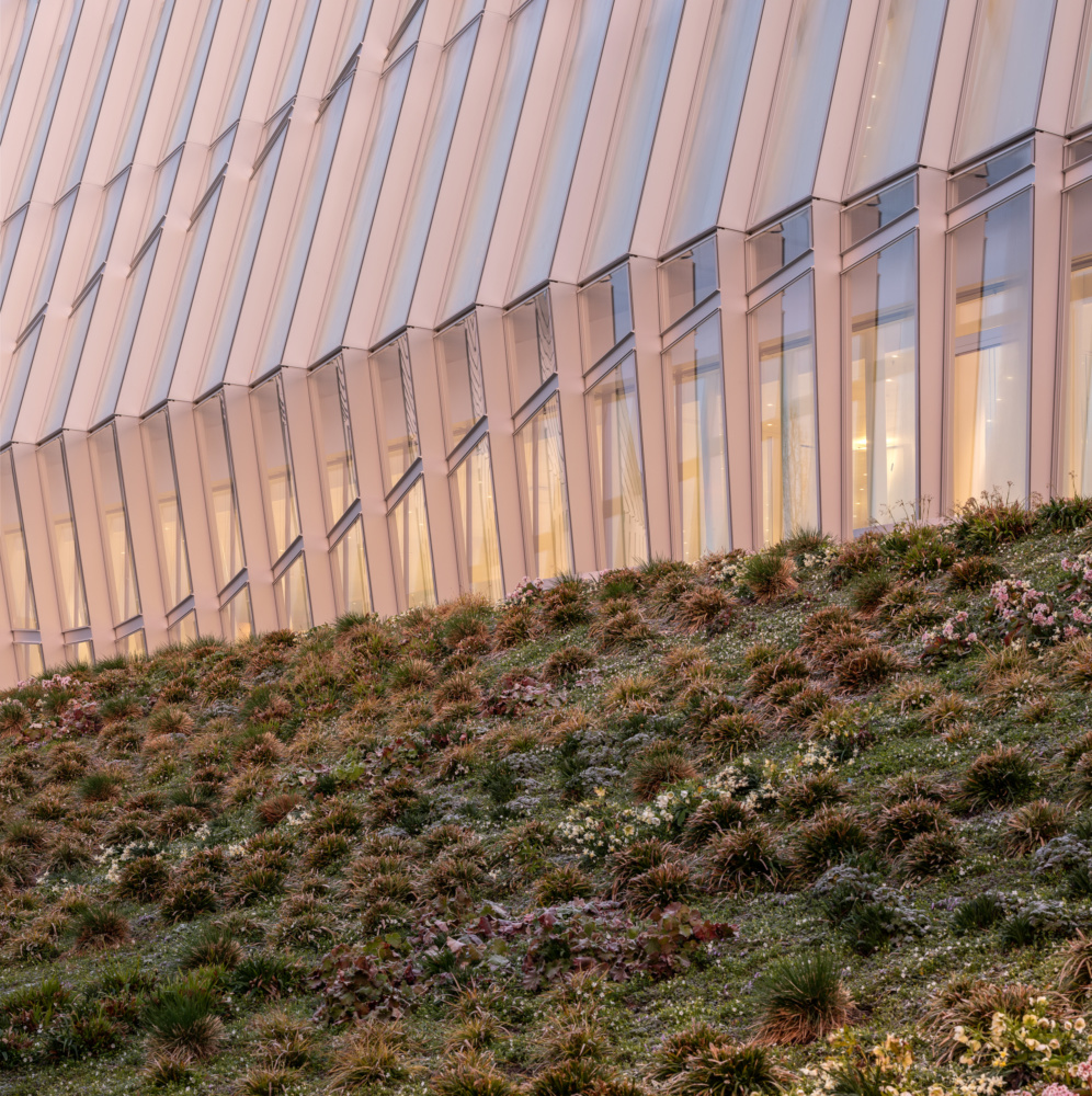 Detail of an undulating, crooked facade